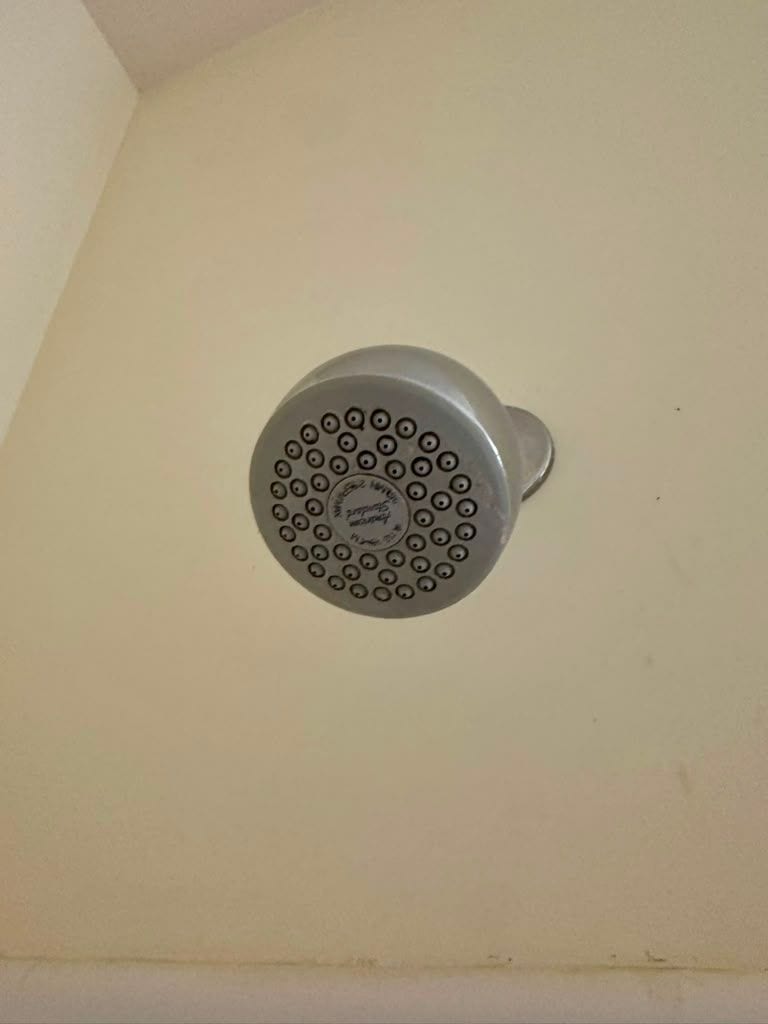 The same shower head clean, with every jet clear