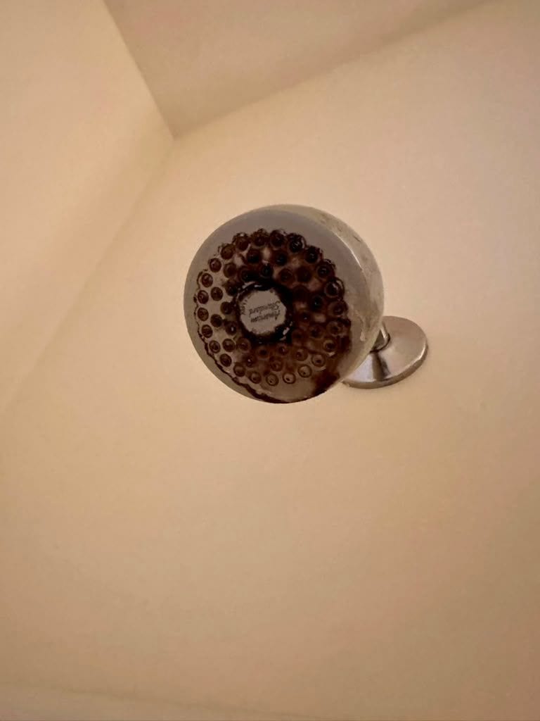 A shower head with heavy rust and mineral scale across the jets