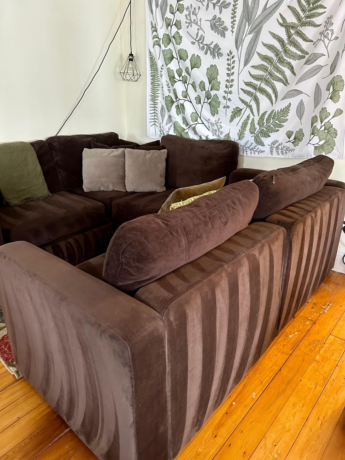 A living room with cushions straightened and floors cleaned